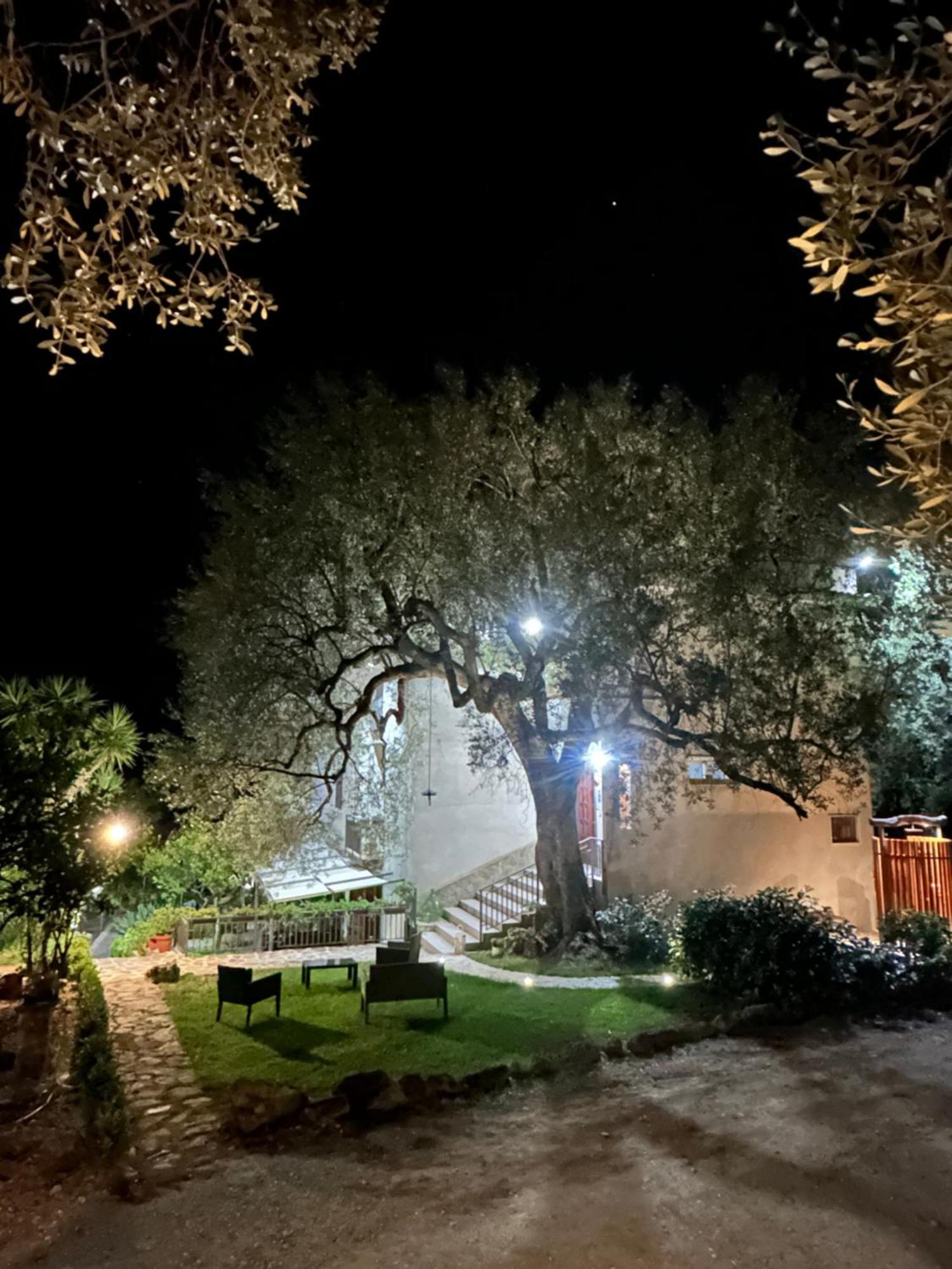 La Casa Del Maestro Attico Leilighet Pisciotta Eksteriør bilde