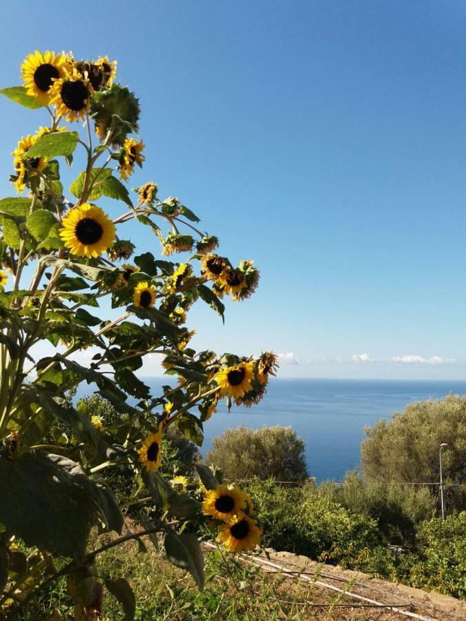 La Casa Del Maestro Attico Leilighet Pisciotta Eksteriør bilde